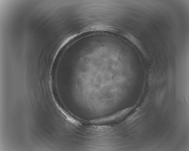 X0000060551024200511101532