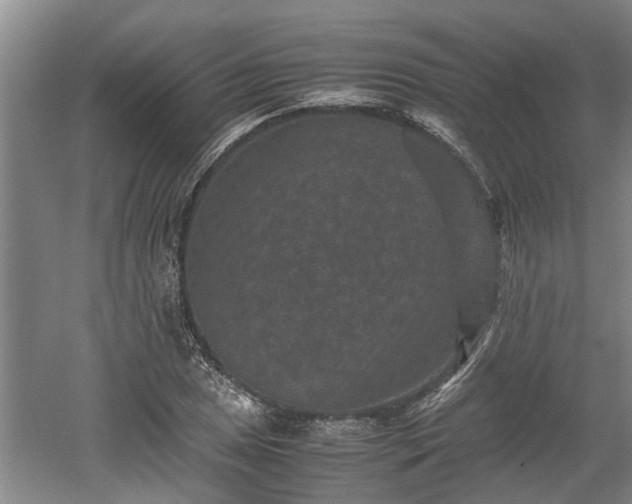 X0000060551025200511101532