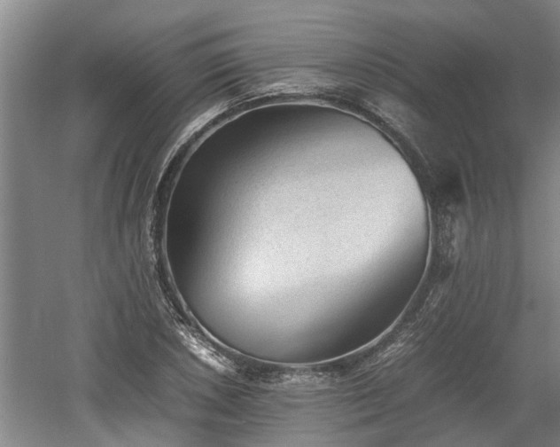 X0000060551026200511101532