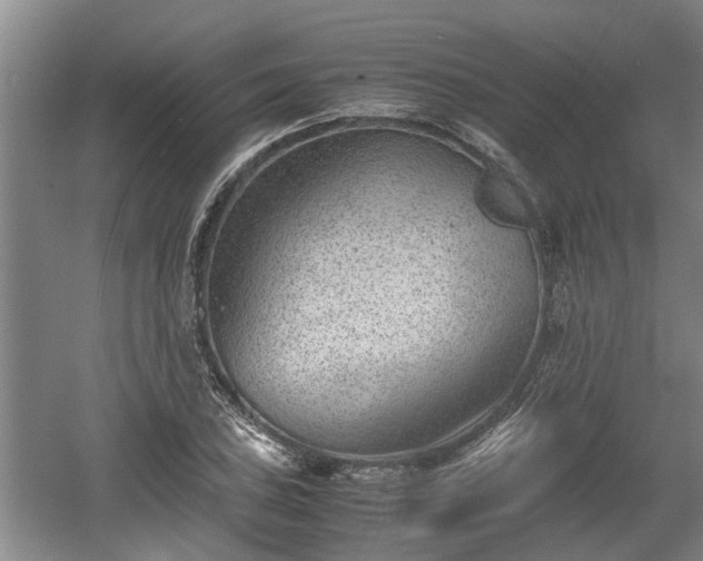 X0000060551027200511101532