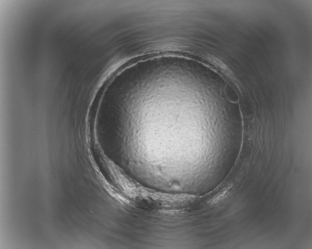 X0000060551031200511101532