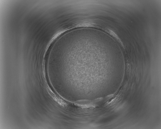 X0000060551035200511101532