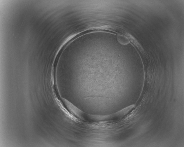 X0000060551036200511101532