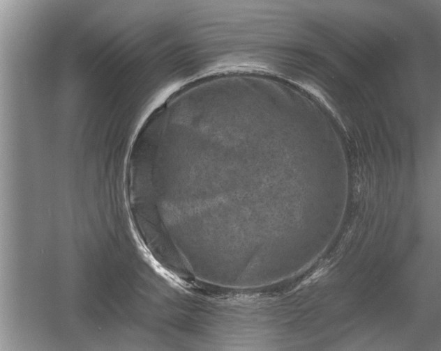 X0000060551038200511101532