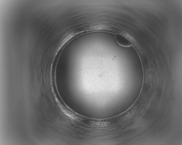 X0000060551039200511101532