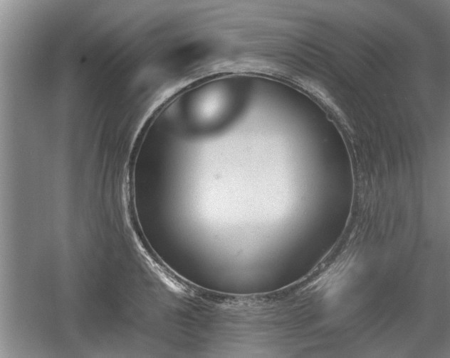 X0000060551040200511101532