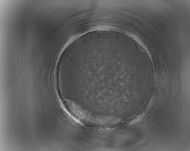 X0000060551045200511101532