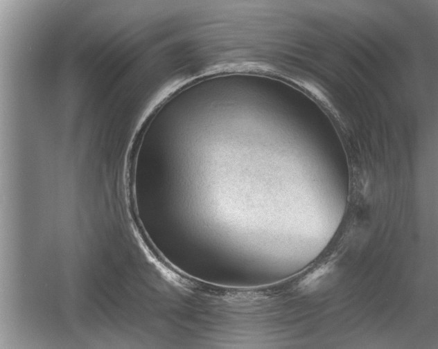 X0000060551046200511101532