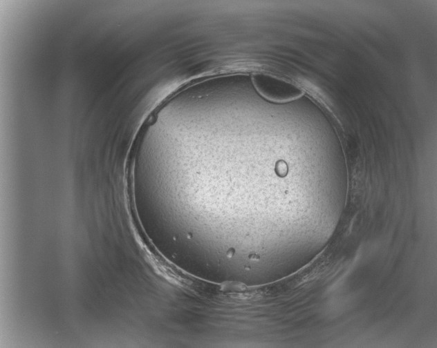 X0000060551047200511101532