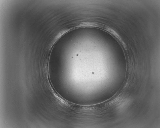 X0000060551049200511101532