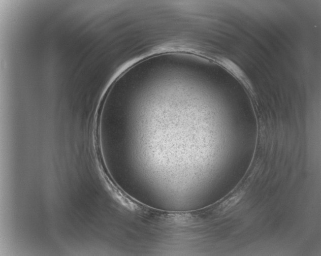 X0000060551052200511101532