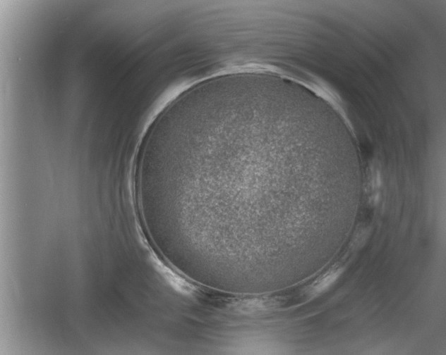 X0000060551054200511101532