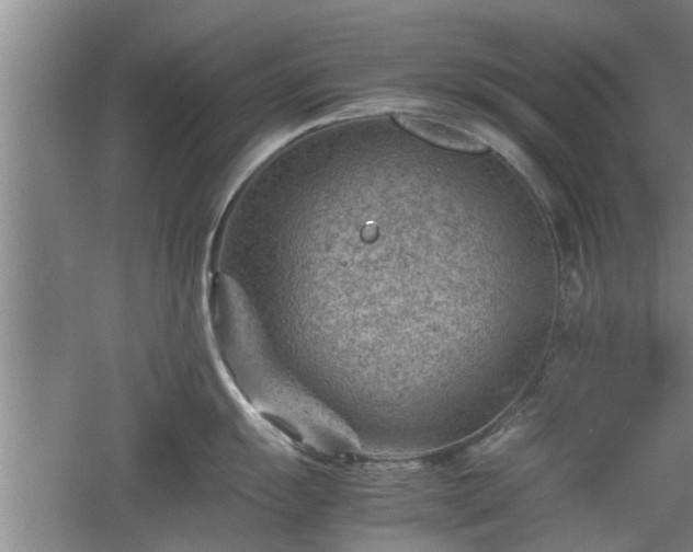 X0000060551055200511101532