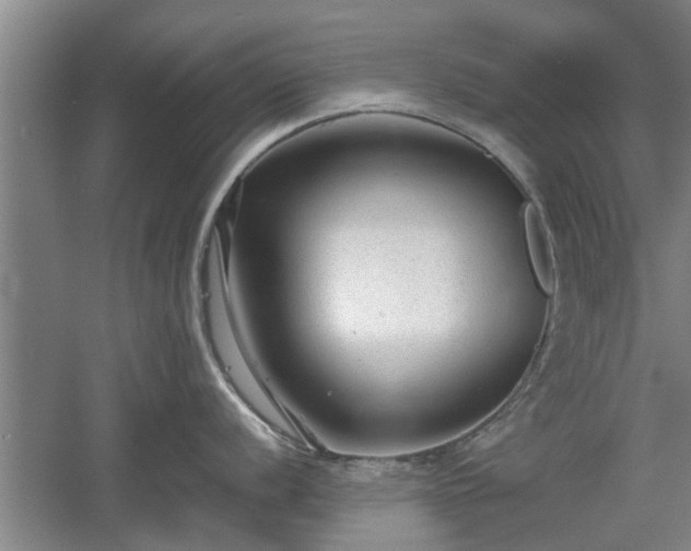 X0000060551056200511101532