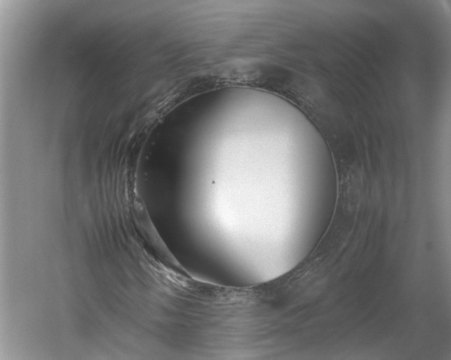 X0000060551058200511101531