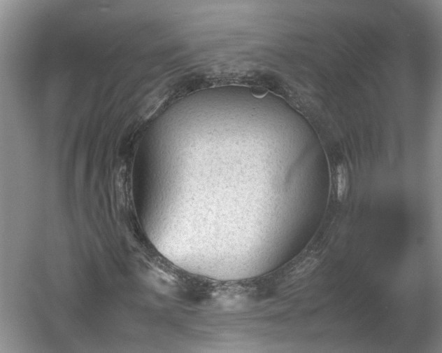 X0000060551059200511101531