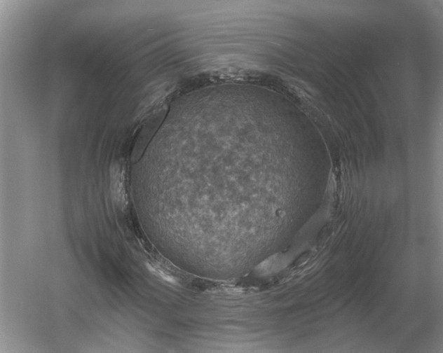 X0000060551060200511101531