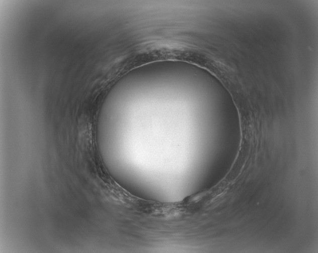 X0000060551061200511101531