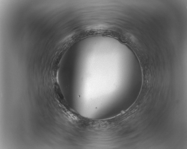 X0000060551062200511101531