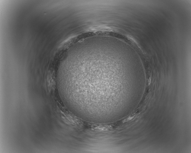 X0000060551063200511101531