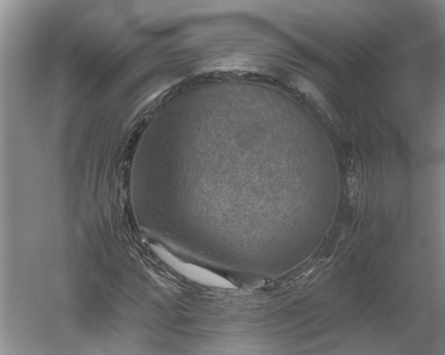 X0000060551064200511101531