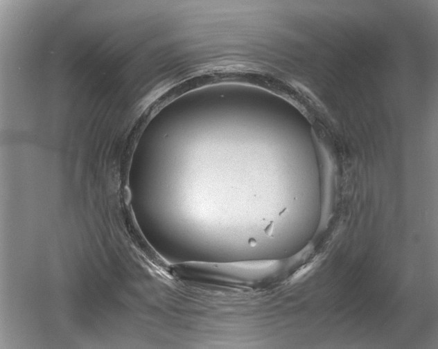 X0000060551065200511101531