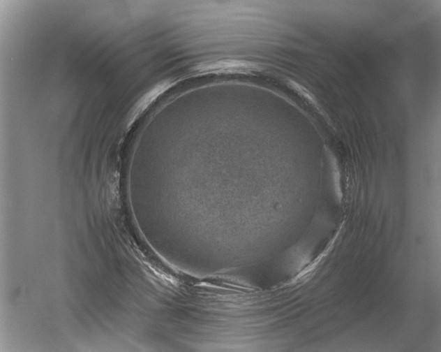 X0000060551066200511101531