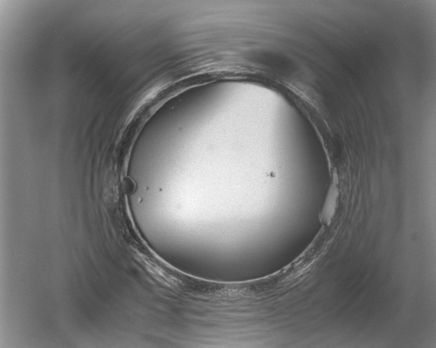 X0000060551067200511101531