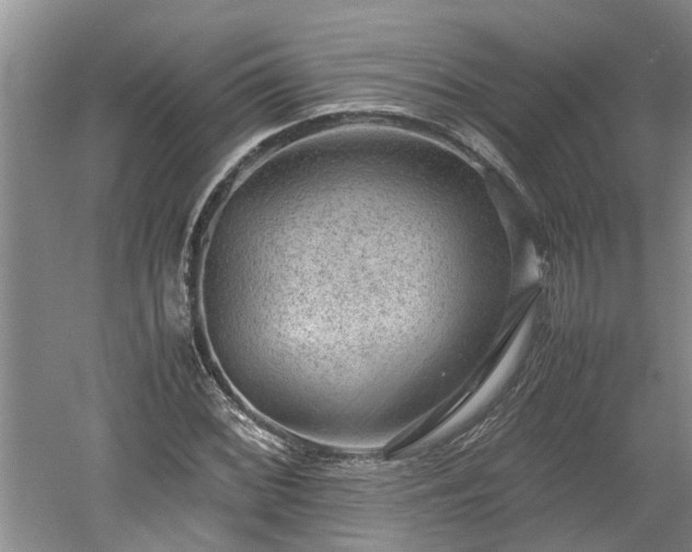 X0000060551068200511101531