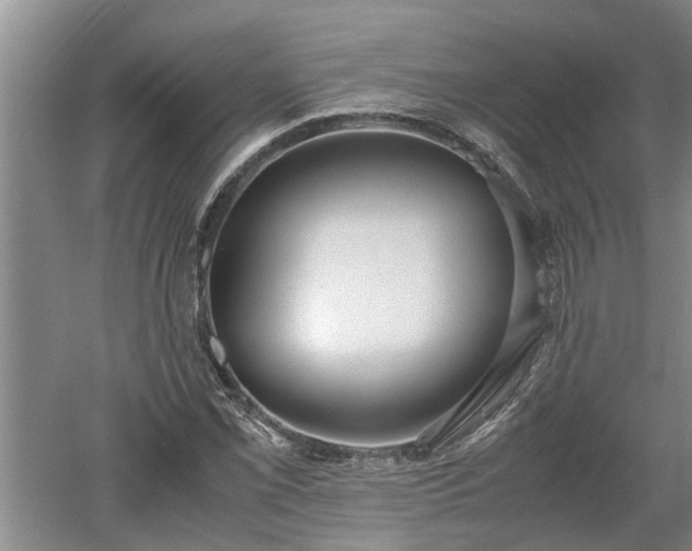 X0000060551069200511101531