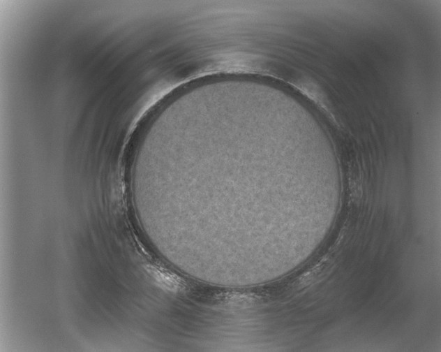 X0000060551070200511101531