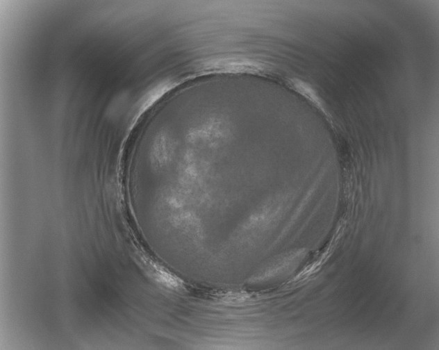 X0000060551071200511101531