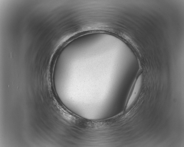 X0000060551072200511101531