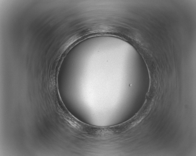 X0000060551073200511101531