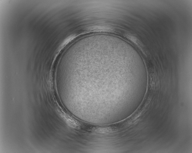 X0000060551074200511101531