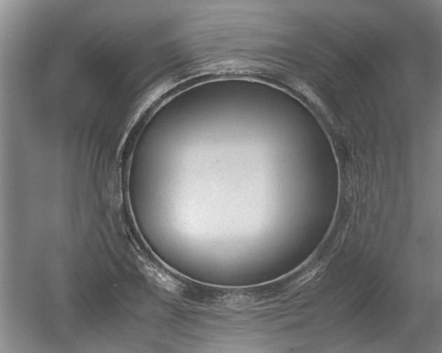 X0000060551075200511101531