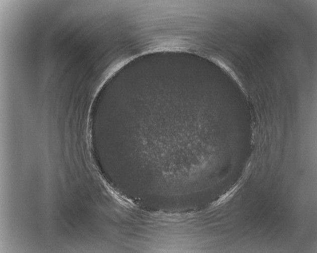 X0000060551077200511101531