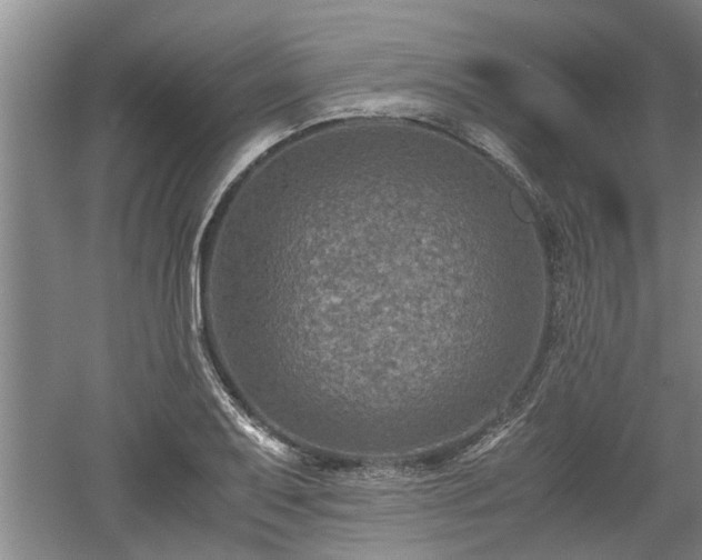 X0000060551079200511101531