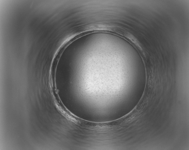 X0000060551080200511101531