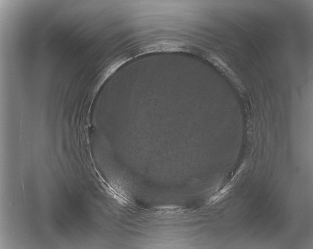 X0000060551081200511101531