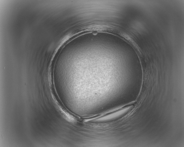 X0000060551083200511101531