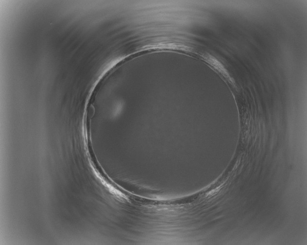 X0000060551084200511101531