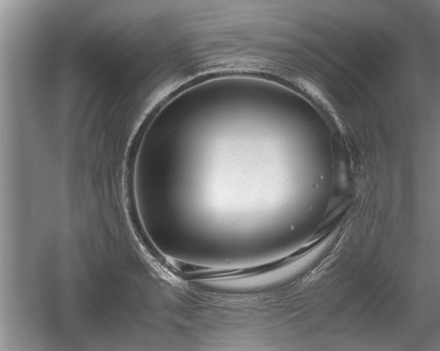 X0000060551085200511101531