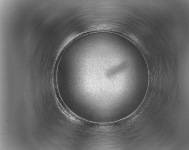 X0000060551086200511101531