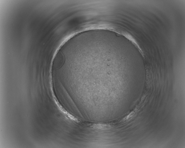 X0000060551088200511101531