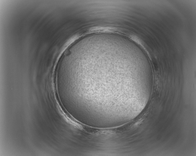 X0000060551090200511101531