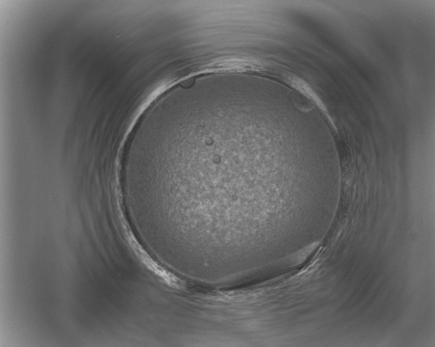 X0000060551091200511101531