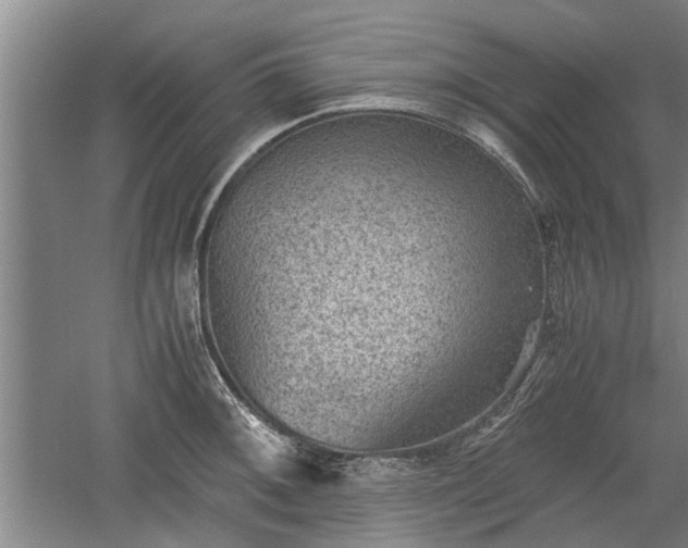 X0000060551092200511101531