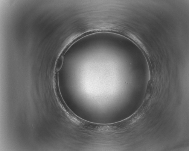 X0000060551093200511101531