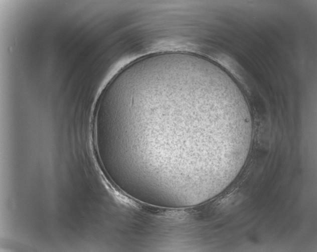 X0000060551094200511101531